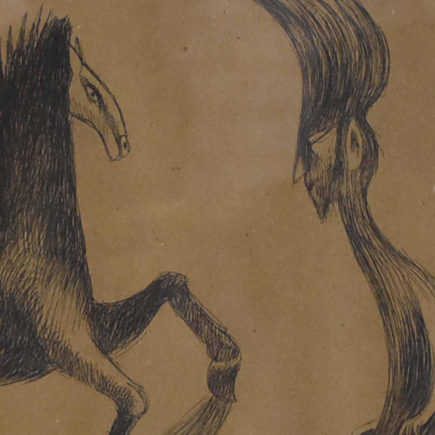 Horses