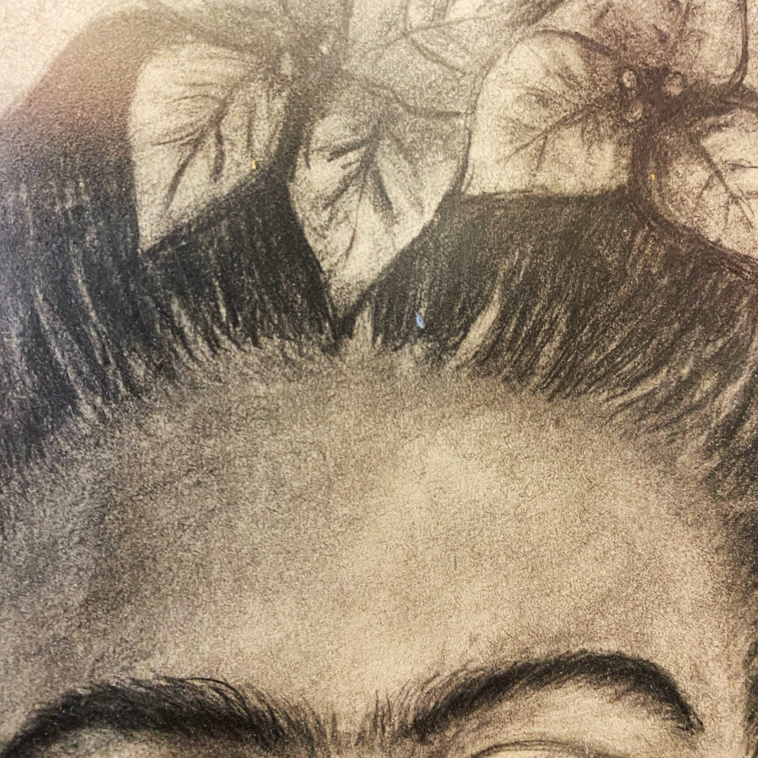 About Frida
