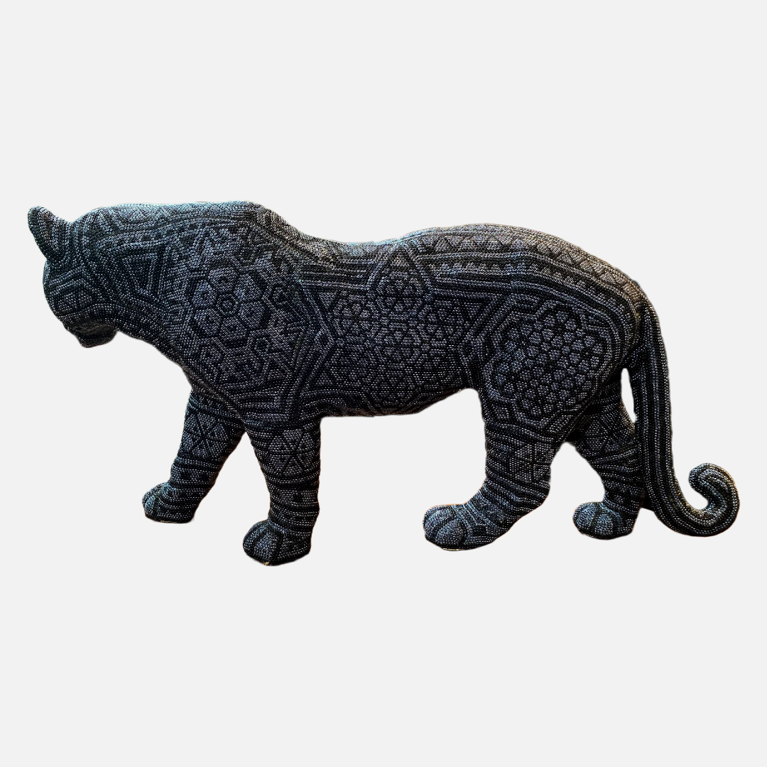 Jaguar walking