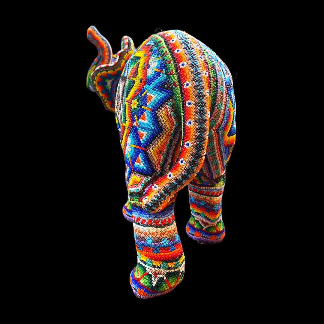 Elephant walking