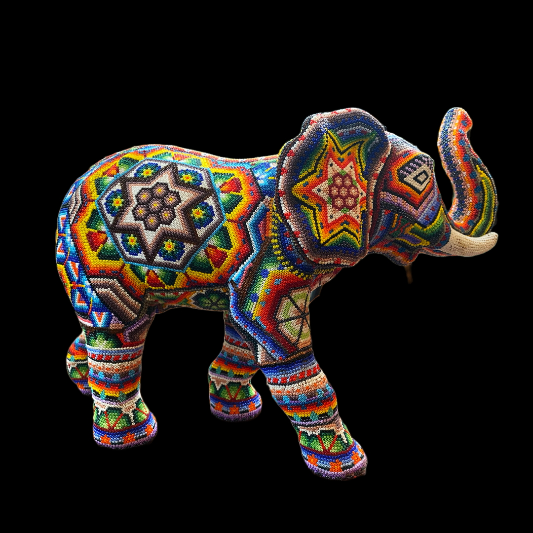 Elephant walking