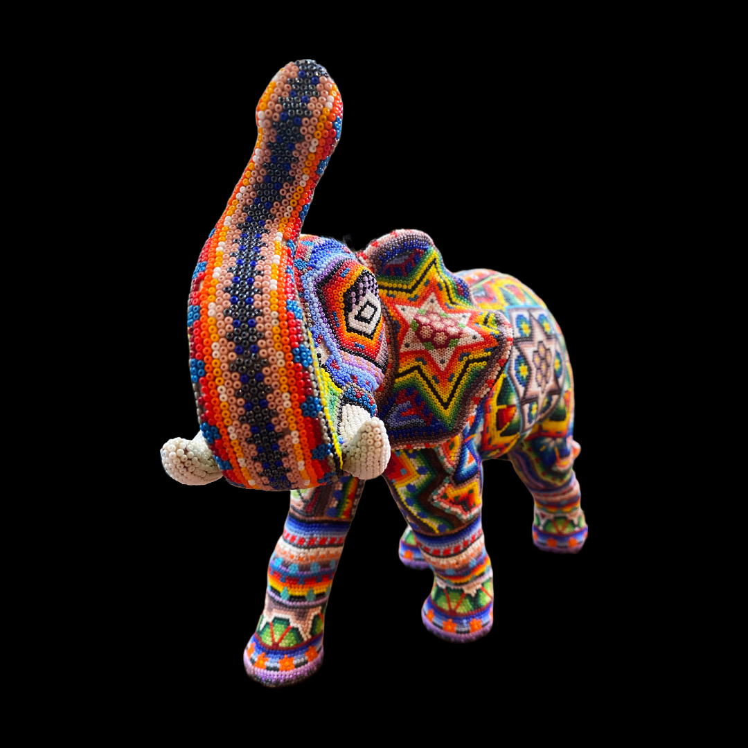 Elephant walking