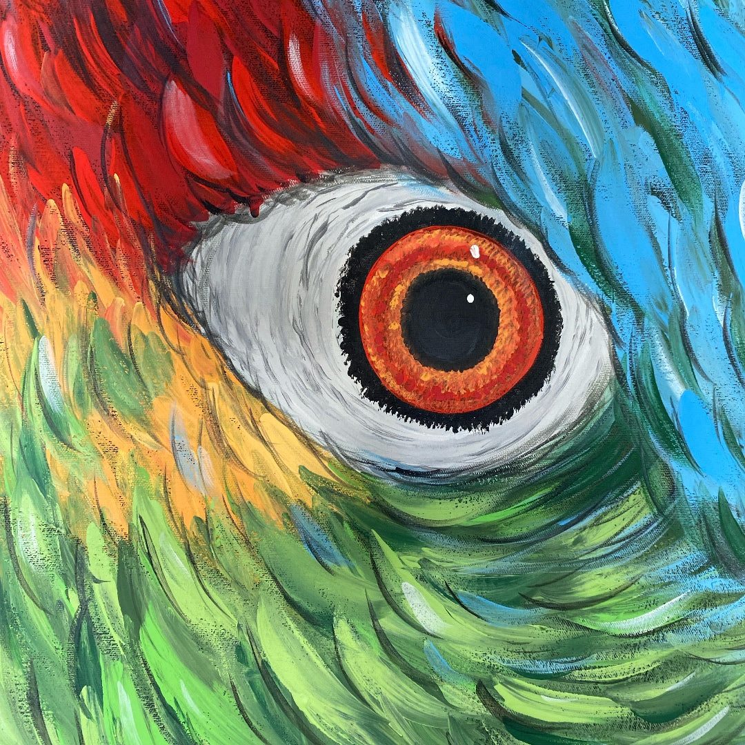 Eagle Knight