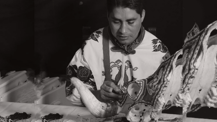 PEDRO MATSUGUA