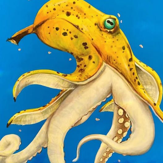 PLATANO PULPO