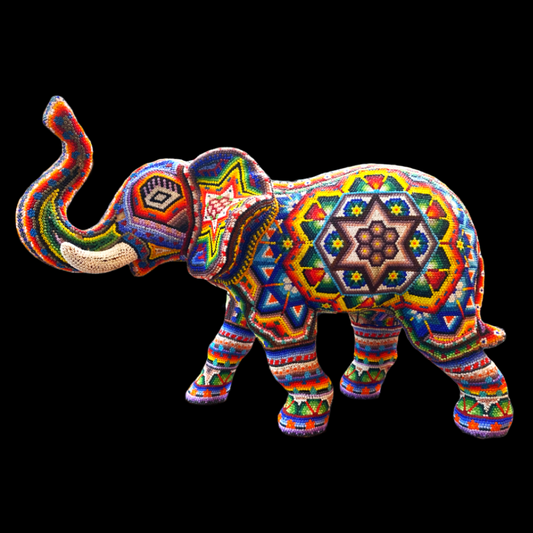 Elephant walking