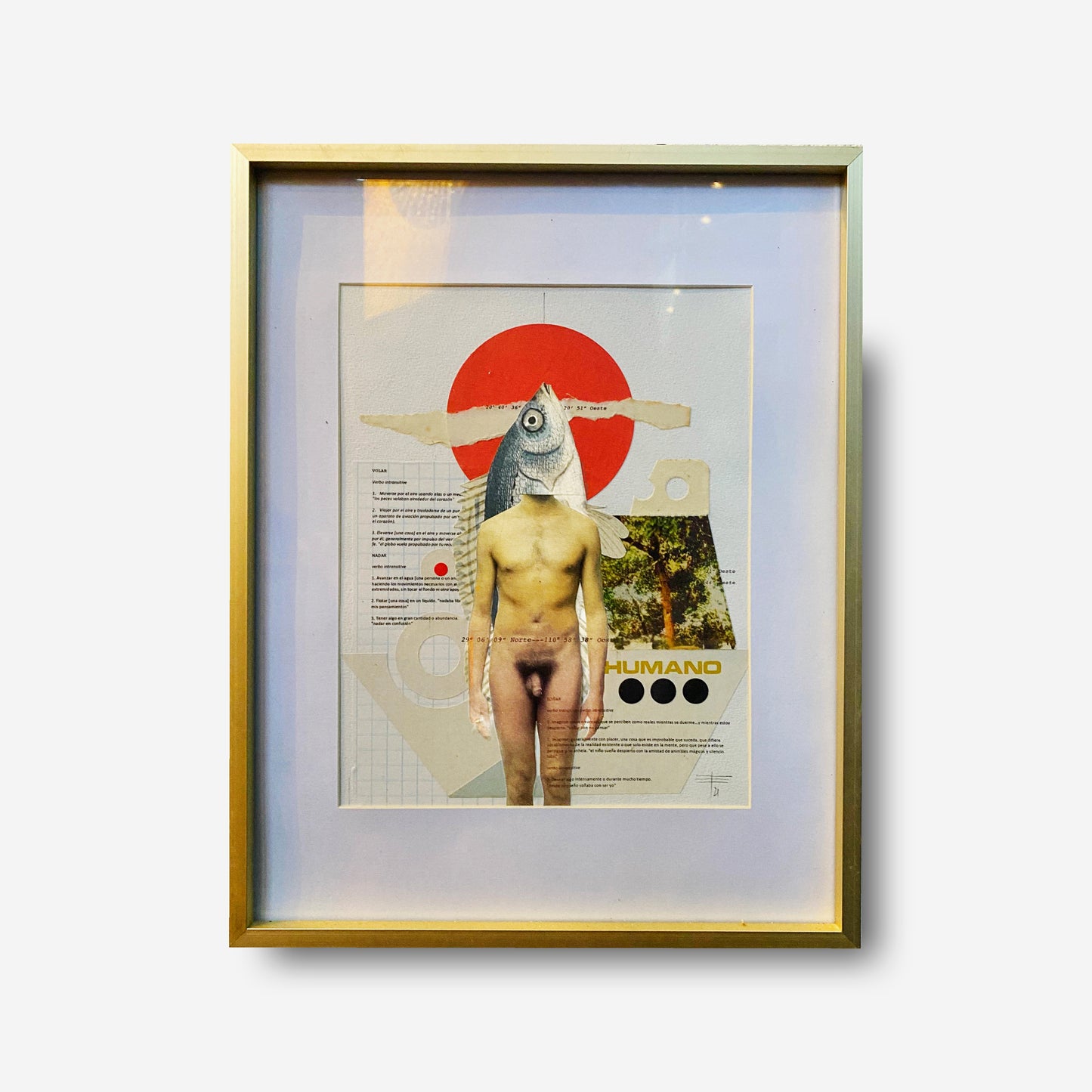 Human