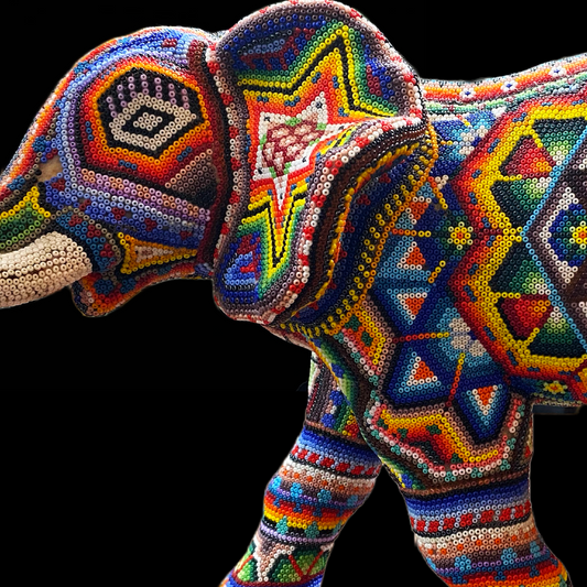 Elephant walking